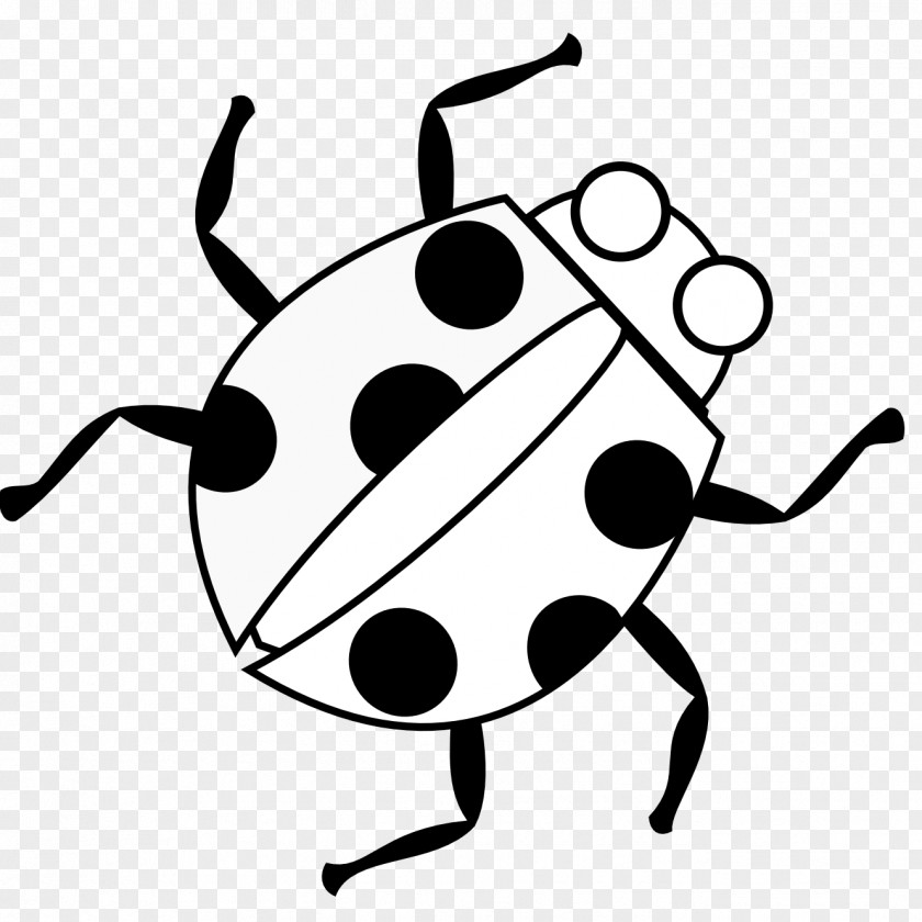 Cartoon Ladybug Clipart Software Bug Free Content Animation Clip Art PNG