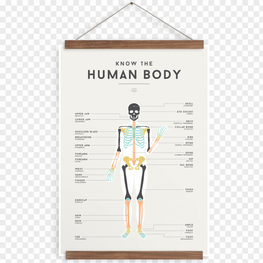 Design Poster Room Chart Printing PNG