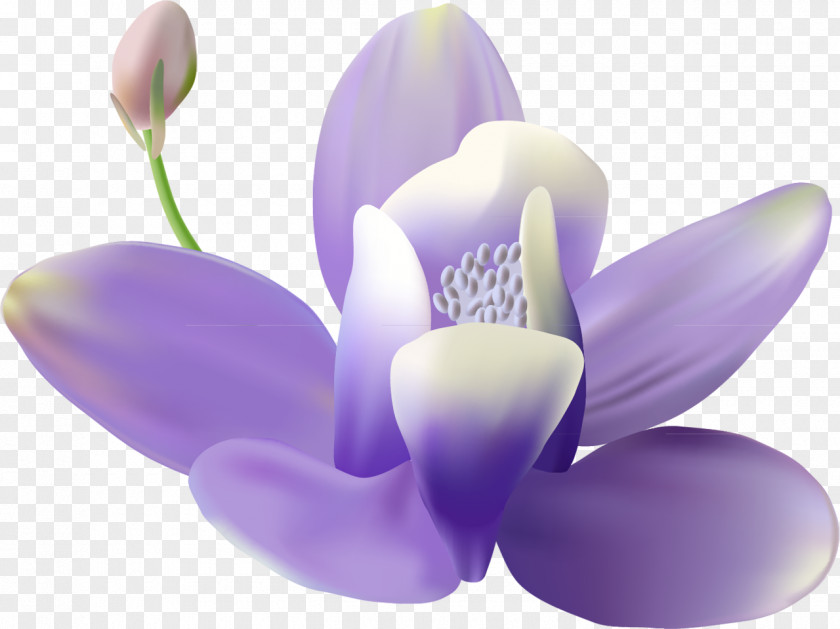 Lilac Flower Mural Wall Painting PNG