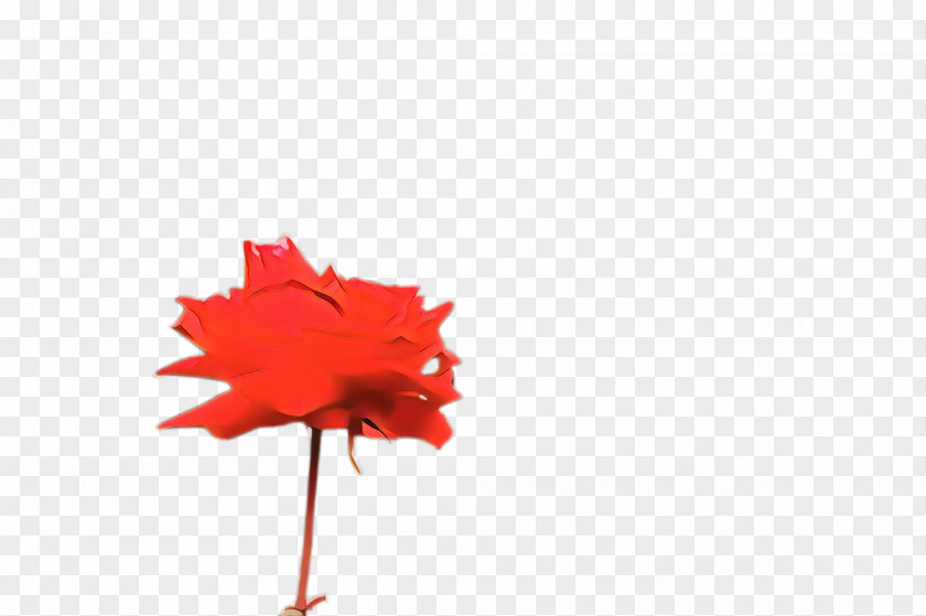 Maple Coquelicot Leaf PNG