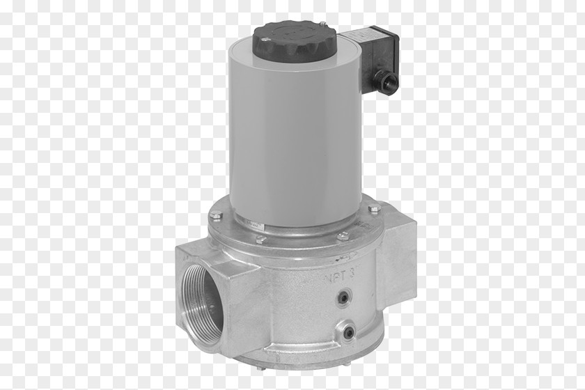 Nelson Associates Archtctrl Safety Shutoff Valve Dungs Solenoid Nominal Pipe Size PNG