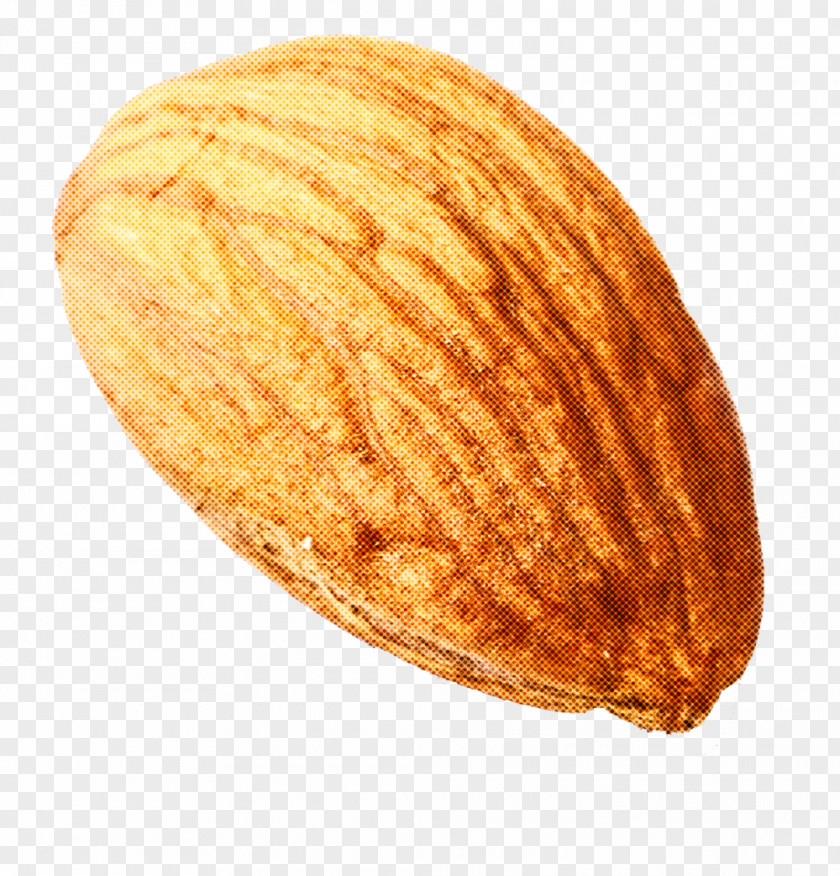 Nuts Seeds Food Almond Nut Plant & PNG