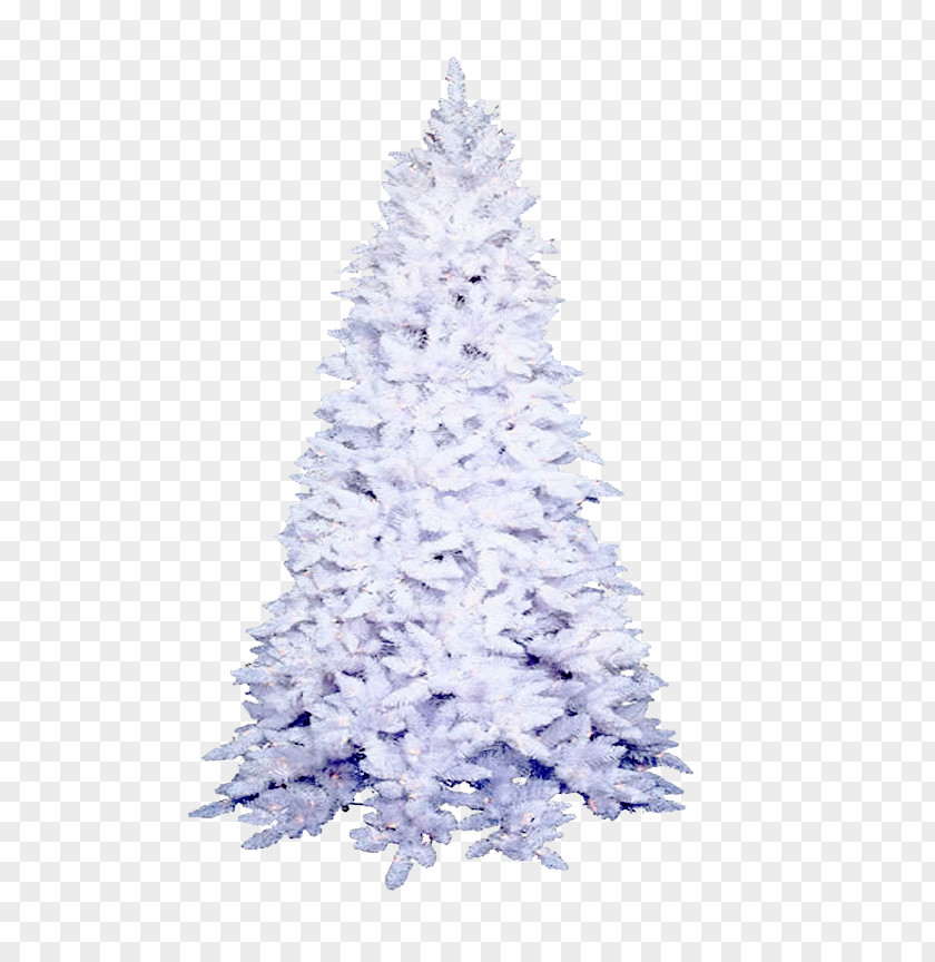 Spruce Artificial Christmas Tree Ornament Day PNG