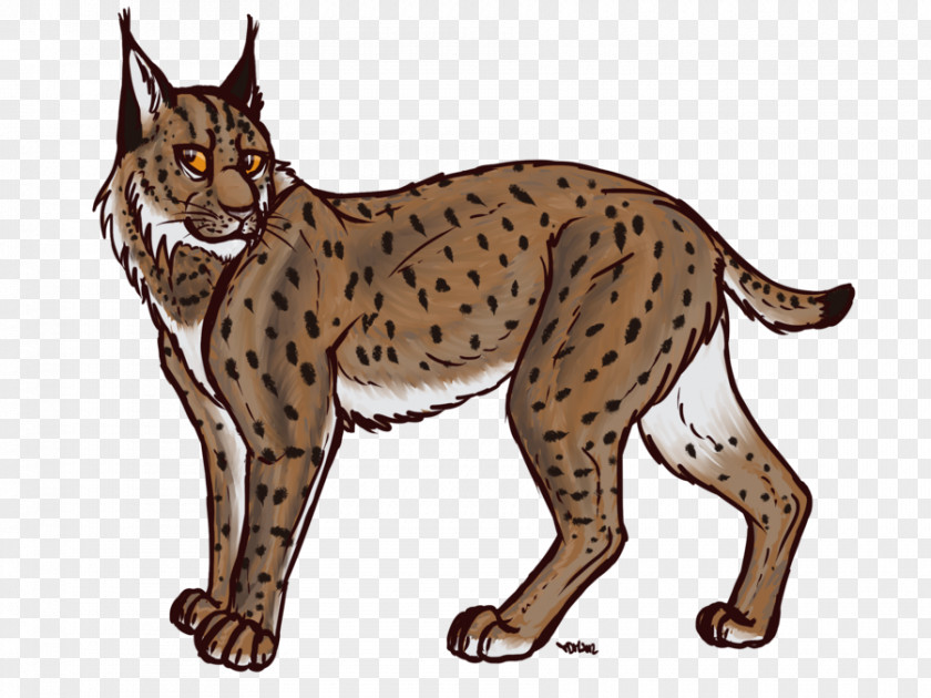 Taobao Lynx Eurasian Felidae Canada Clip Art PNG