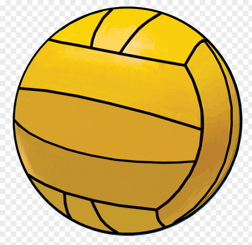 Water Polo Ball Pro Recco PNG