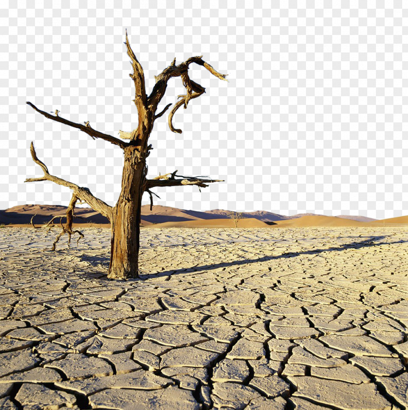 Ground Dry Land PNG dry land clipart PNG