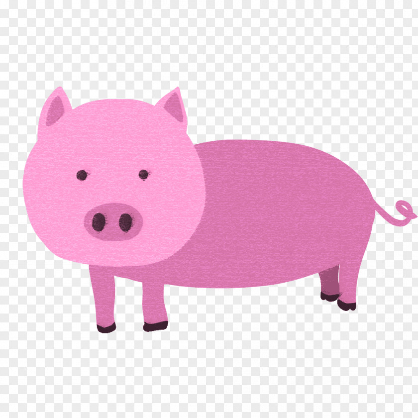Pig Domestic Pork Clip Art PNG