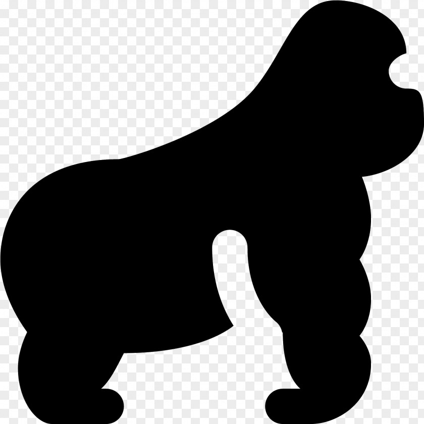 Tail Spaniel Dog And Cat PNG