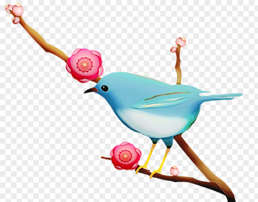 Bird Pink Branch Beak Songbird PNG