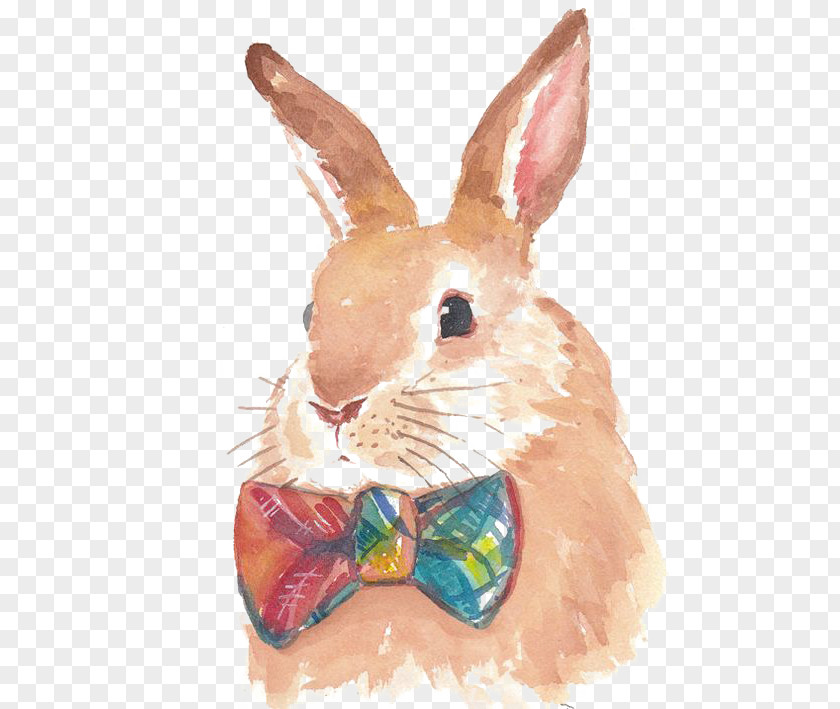 Hand-painted Rabbit Hare Bunnies & Rabbits Watercolor Painting Drawing PNG