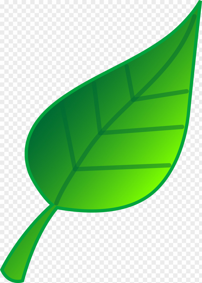 Herb Leaf Clip Art PNG
