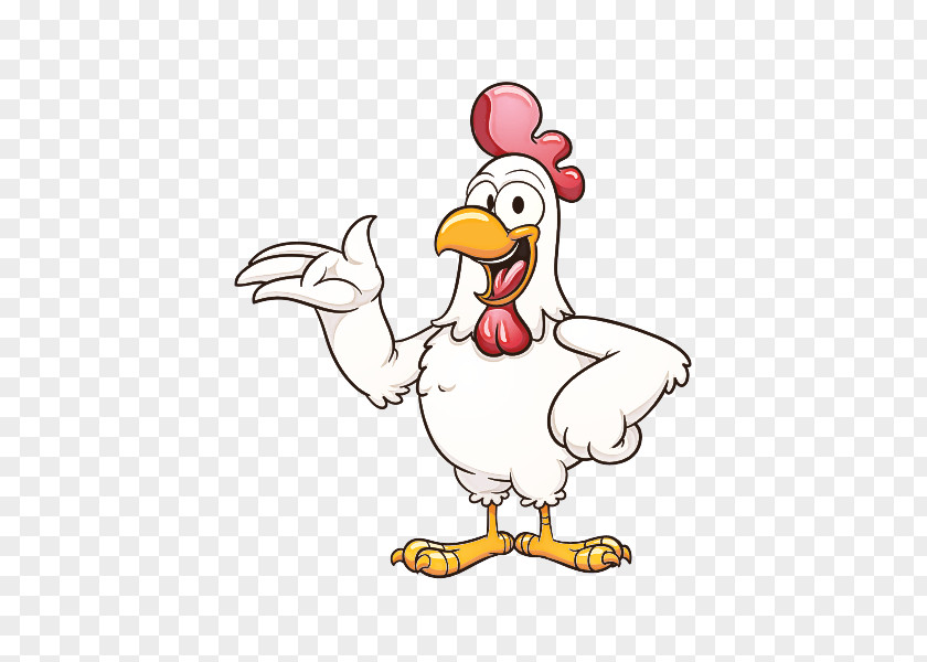 Livestock Poultry Chicken Bird Rooster Cartoon Beak PNG