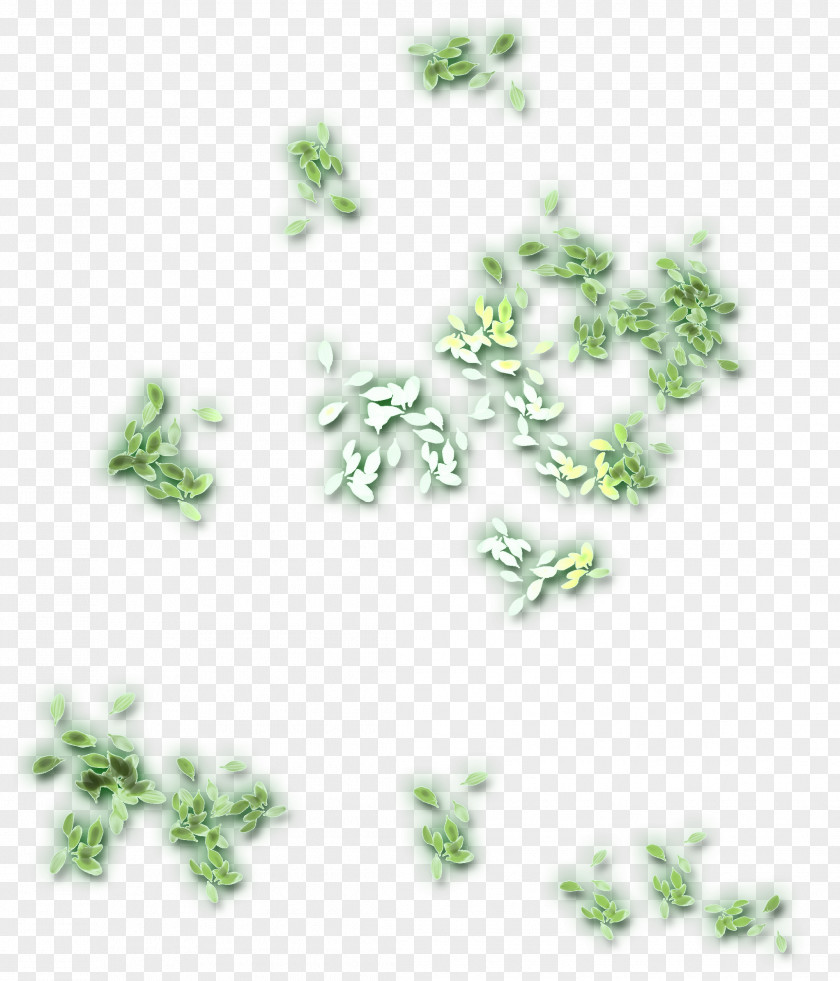 Petals Tree Organism Font PNG