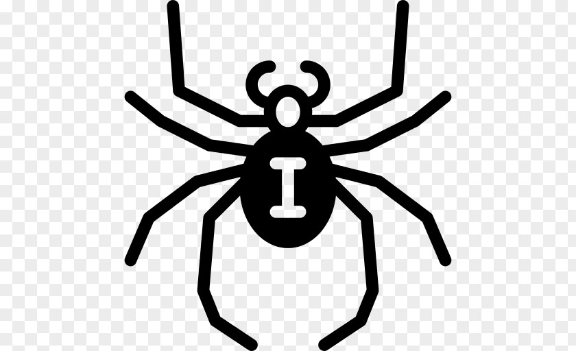 Spider Animals Insects PNG