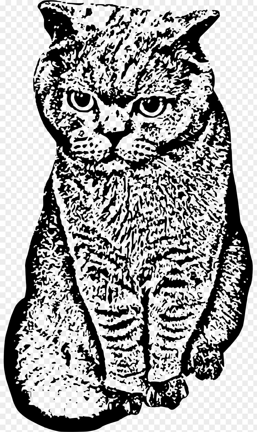 Cat Wildcat Drawing Clip Art PNG