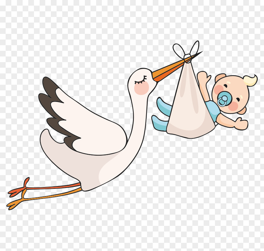 Child Infant Baby Shower Birth PNG