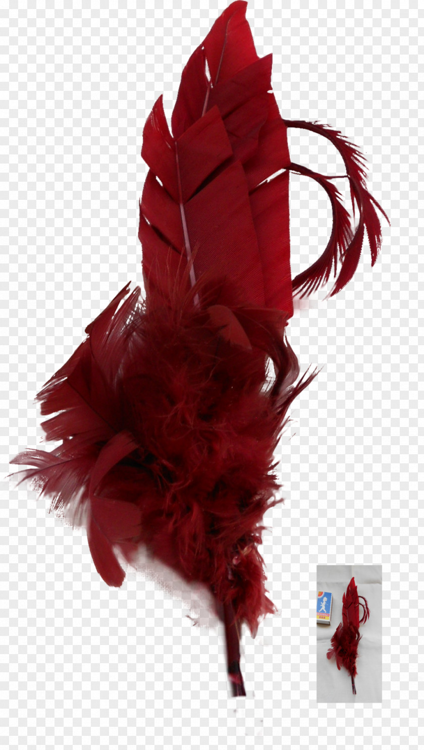 Feather White Red Color PNG