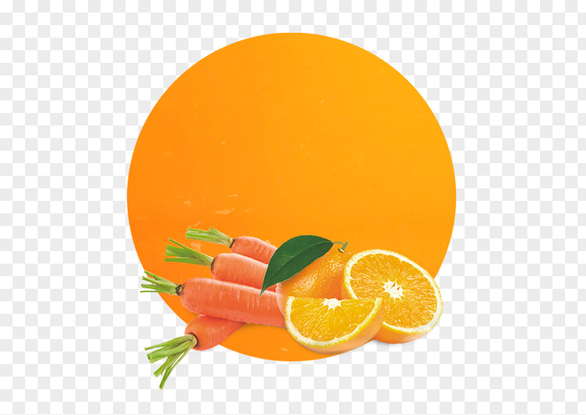 Lemon Orange Clementine Mandarin Juice PNG