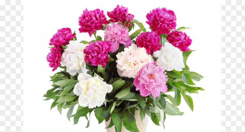 Peony Flower Bouquet Stock Photography Desktop Wallpaper PNG