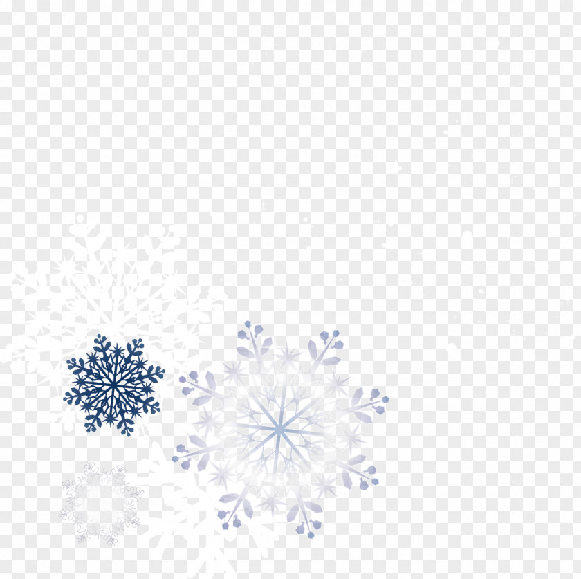 Arctic Snow Snowflakes Vector Microsoft PowerPoint Template Snowflake Presentation Wallpaper PNG