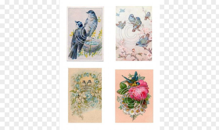 Bird Floral Design Paper Painting Drawing PNG