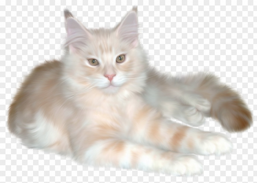Cat Claw Persian Kitten Ragdoll Clip Art PNG
