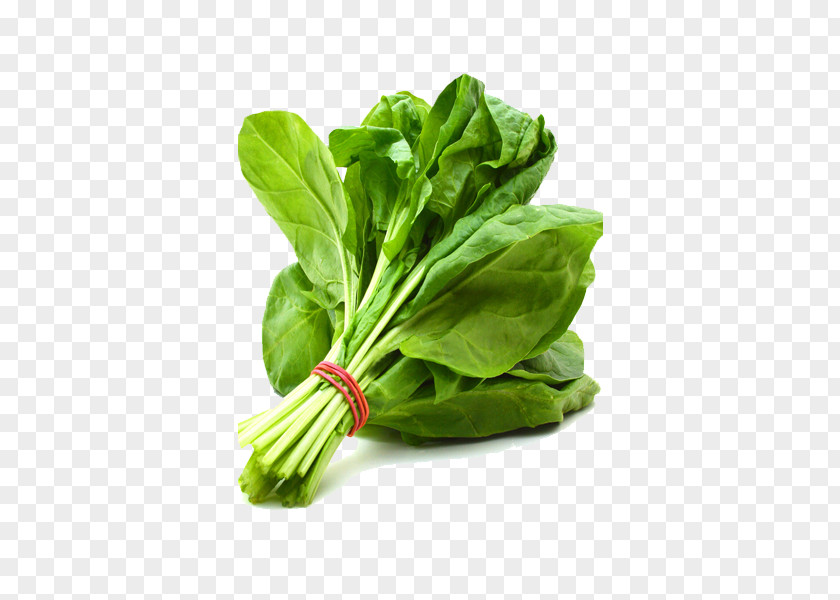 Vegetable Palak Paneer Leaf Spinach Indian Cuisine PNG