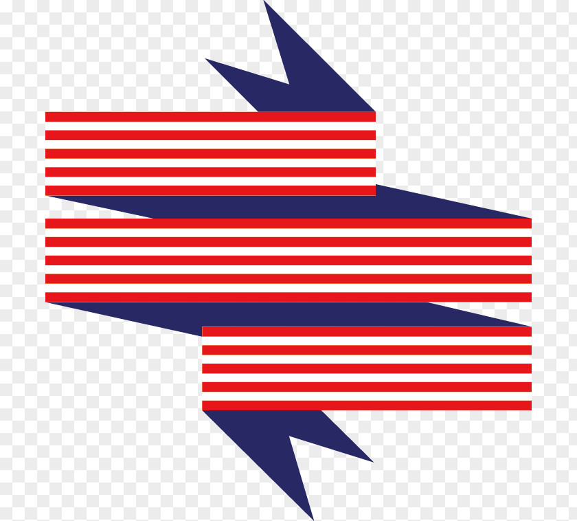 American Flag Element Of The United States PNG