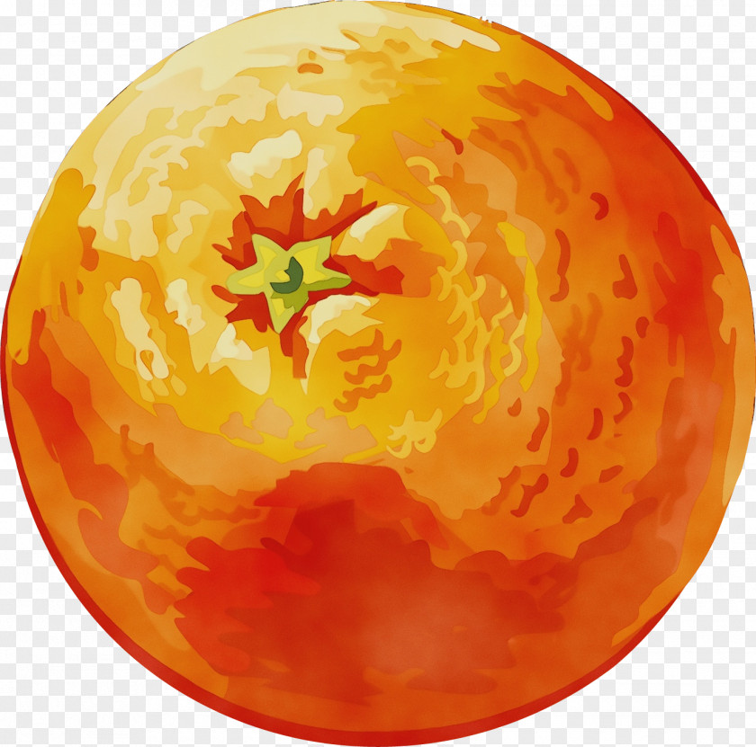 Astronomical Object Fruit Orange PNG