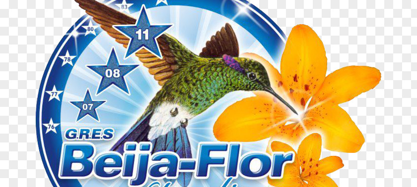 Beija Flor Carnival In Rio De Janeiro Beija-Flor Samba School PNG