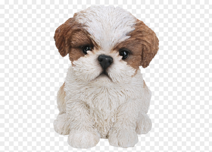 Maltese Shih Tzu Puppy Bichon Frise Poodle Yorkshire Terrier PNG