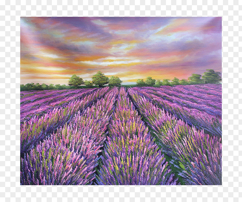 Painting English Lavender Oil Art PNG