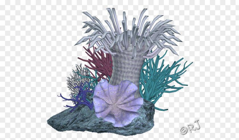 Coral Reef Clipart Aquarium Fish PNG