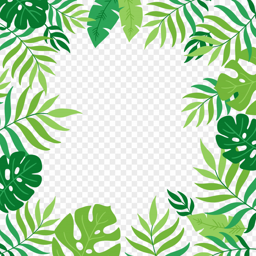 Exotic Leaf Green Clip Art PNG