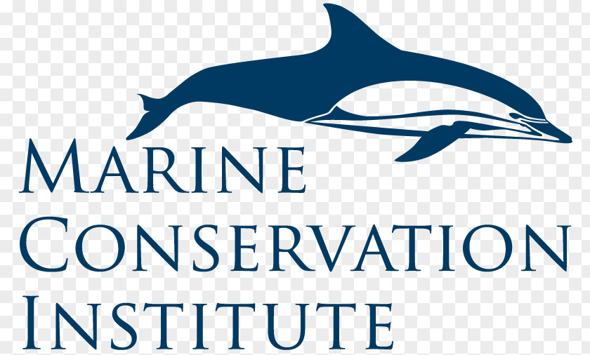 Honor Board World Ocean Marine Conservation Institute Earth PNG