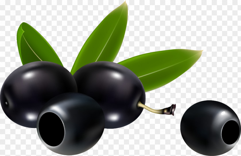 Olive Branch Clip Art PNG