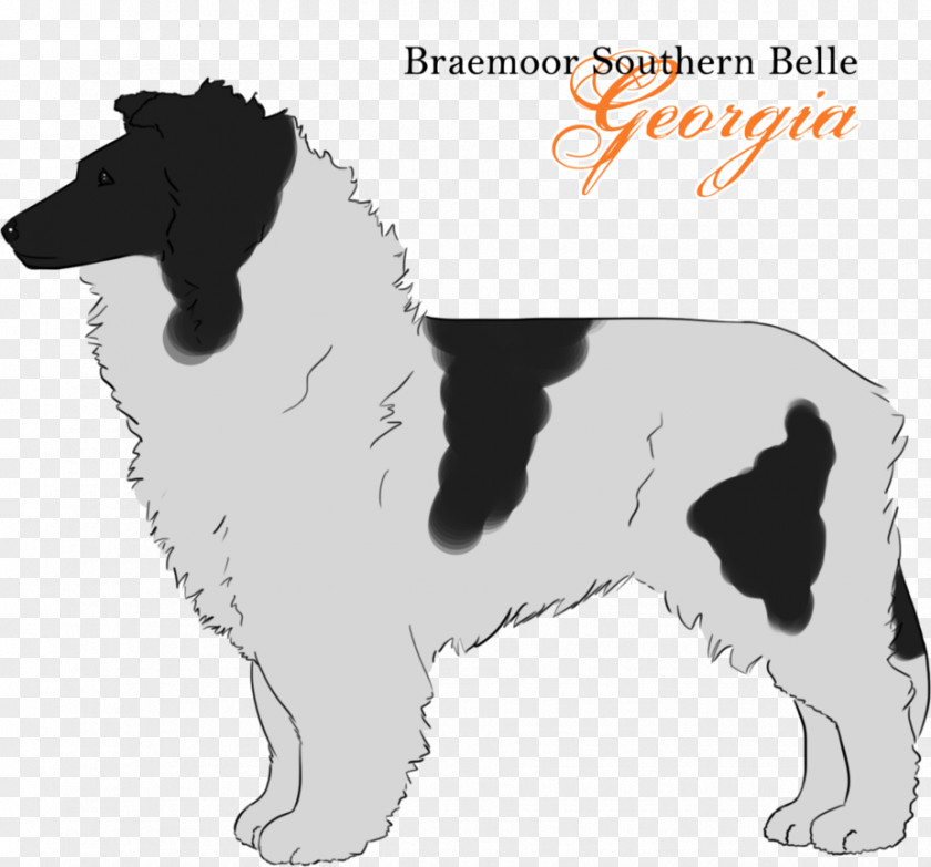 Shetland Sheepdog English Springer Spaniel Drentse Patrijshond Stabyhoun Dog Breed Puppy PNG