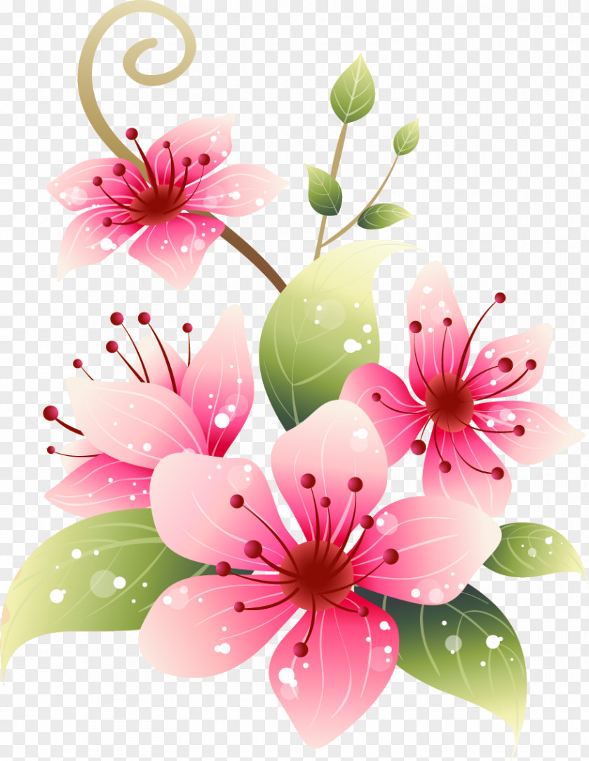 Design Floral Desktop Wallpaper PNG