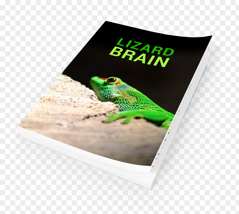 Frog Advertising Brand PNG