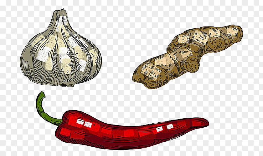 Garlic Ginger Pepper Creative Idea Sealless Vegetable Illustration PNG