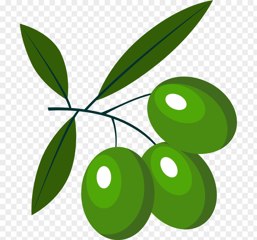 Olives Vector Food Olive Clip Art PNG