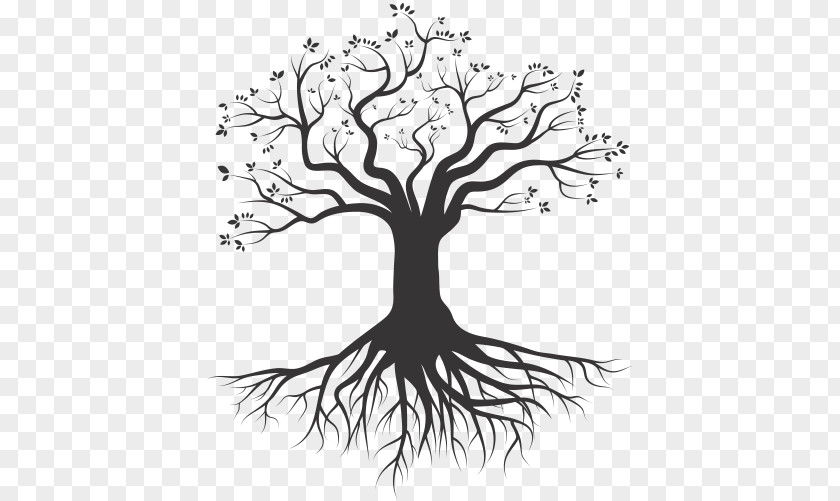 Arabesco Tree Root Silhouette Drawing PNG