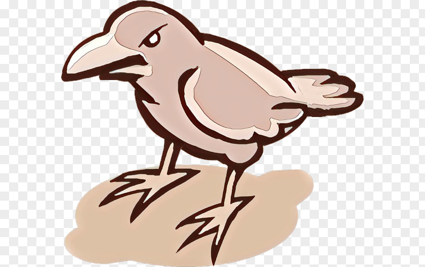 Bird Cartoon PNG