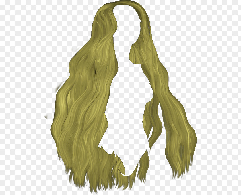 Capelli PNG