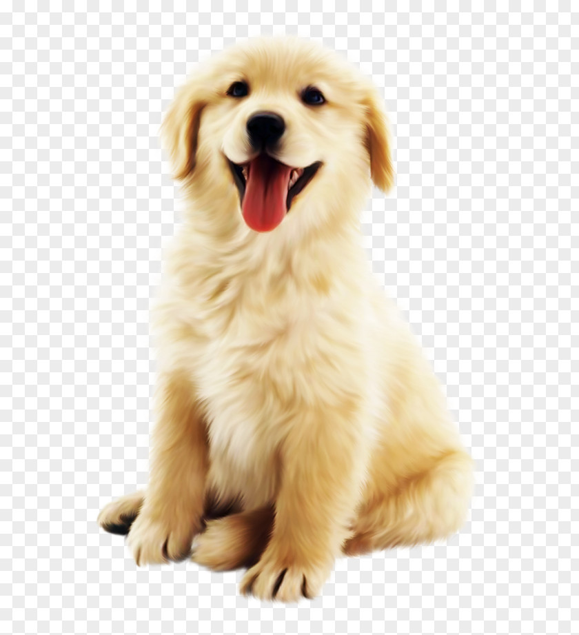 Cute Golden Pet Dog PNG