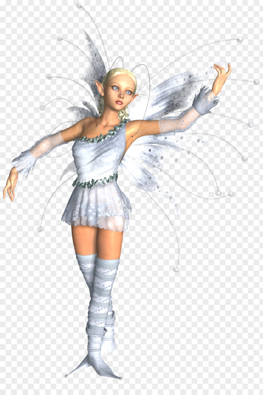 Fairy Costume Angel M PNG
