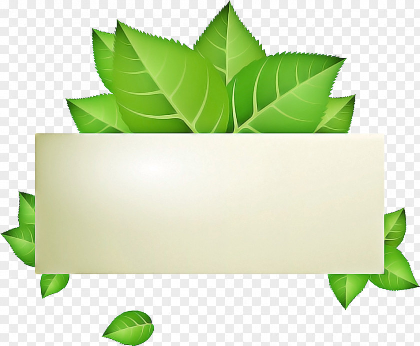 Herb Ivy Green Leaf Logo PNG
