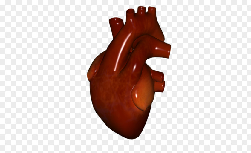 Premature Atrial Contraction Finger Heart PNG