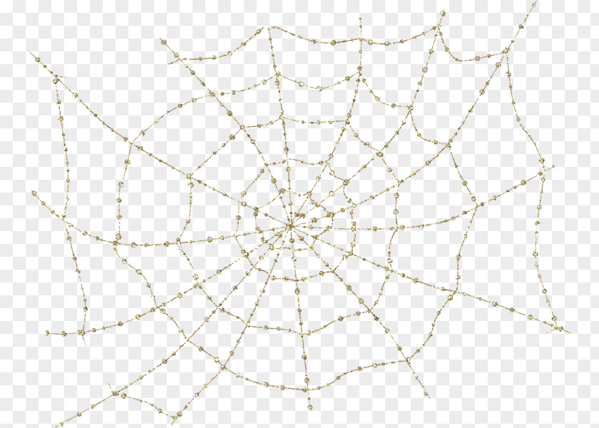 Spider Web Line Point Symmetry PNG