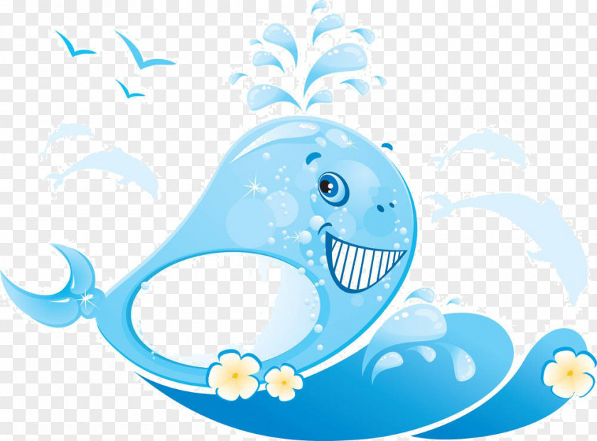 Cartoon Dolphin Flowers Whale Stock Photography Illustration PNG